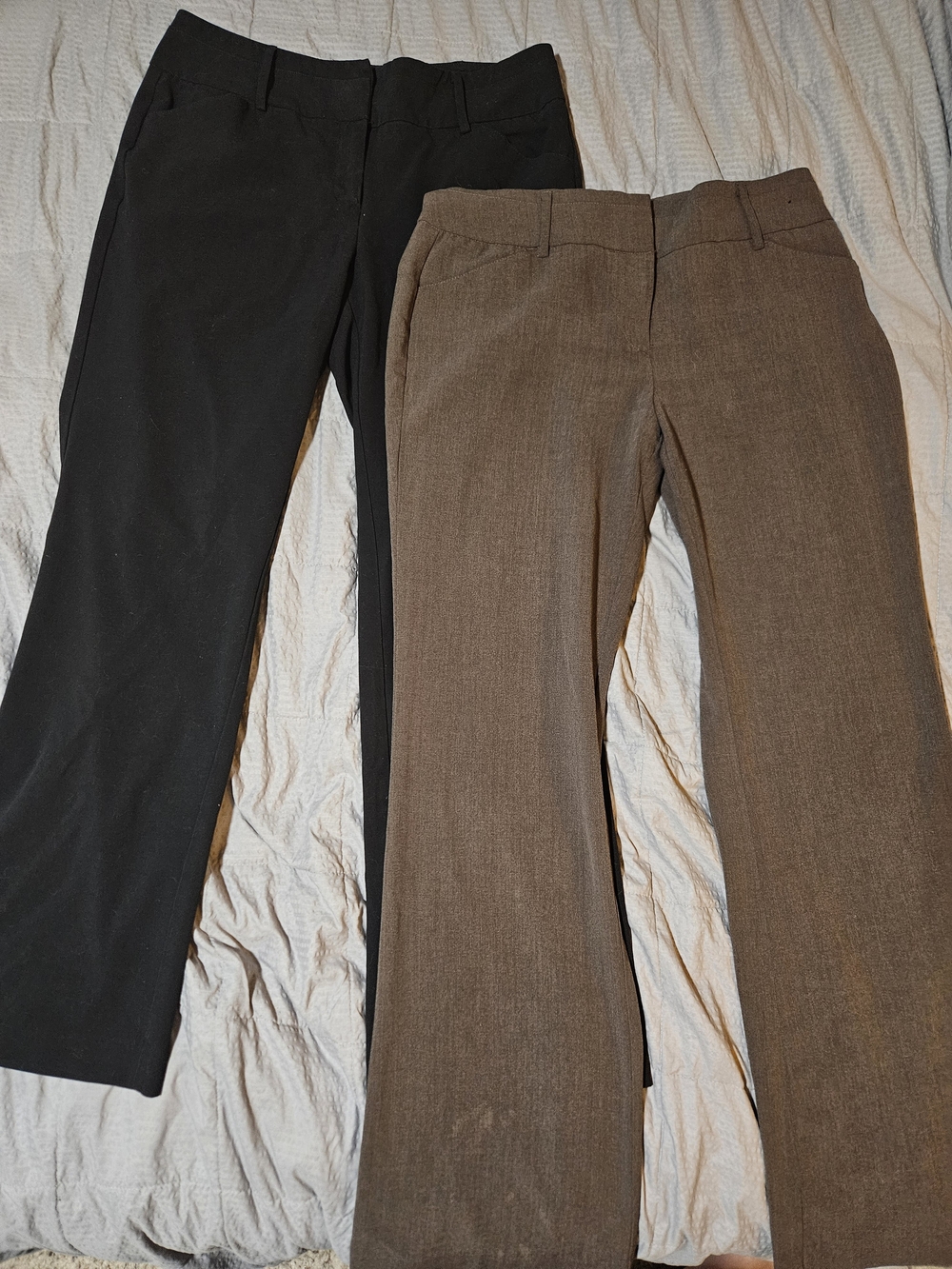 New York & Company Boot-Cut Dress Pants in Black and Brown